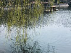 -北岭山森林公园