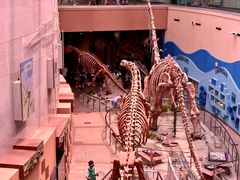 -陕西自然博物馆