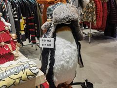 -多抓鱼循环商店(虹桥天地店)