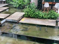 -大理老字号·舟渔的鱼野生菌海景餐厅(双廊店)