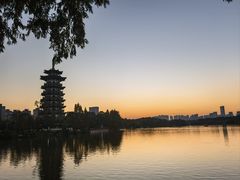 -洋湖国家湿地公园