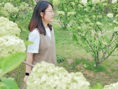 -羊山湖公园