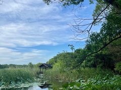 -同里国家湿地公园