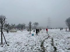 -铁山坪森林公园