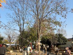 -HERRE·FARM 赫尔露营农场·团建聚会包场