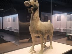-合浦汉代文化博物馆