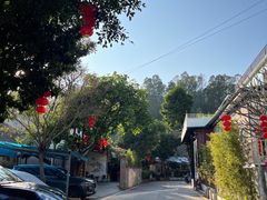 -火炉山森林公园
