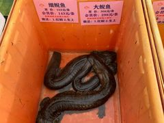 -荔城生鲜盛宴(番禺旗舰店)