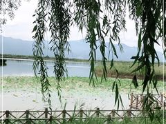 -野鸭湖国家湿地公园