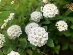 -长春公园(普阳街道)