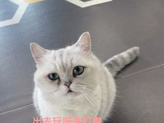 -M.S拳击泰拳馆(大学路店)