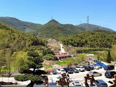 -宁波浙东大竹海景区