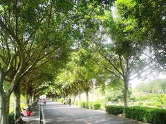 -风云岭森林公园