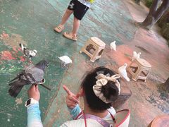 -西霞口神雕山野生动物世界