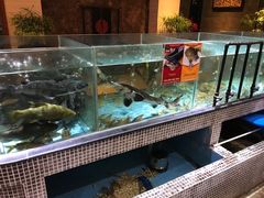 水产区-观澜湖酒店·邀月庭中餐厅
