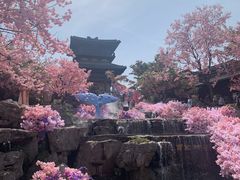 -茅山东方盐湖城景区