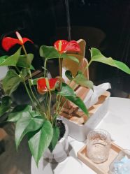 -香秀空间科技抗衰·美容中心