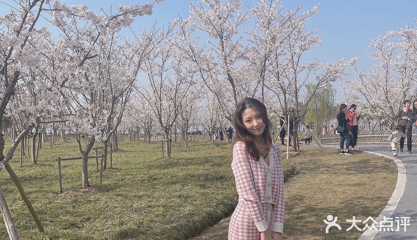 🌸苏州樱花打卡