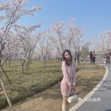 🌸苏州樱花打卡