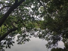 -溪悦渔庄(九龙湖店)