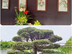 -留园