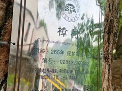 -鹿亭中村