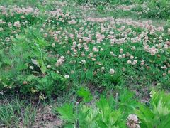 -重庆云阳龙缸景区
