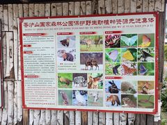 -香炉山国家森林公园