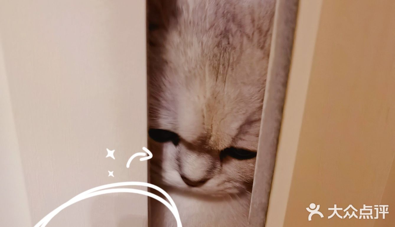 泡泡糖的日常——禁闭篇