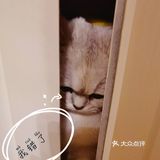 泡泡糖的日常——禁闭篇