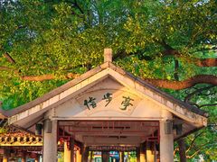 -虾小龙老长沙龙虾馆(坡子街店)