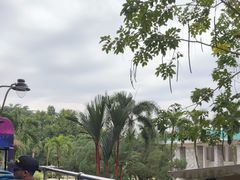 -吉隆坡雀鸟公园