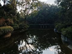 -南山植物园