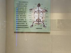 -安徽省地质博物馆
