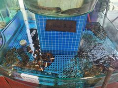 菜单-晶渔坊·海鲜私房菜(东夷小镇店)