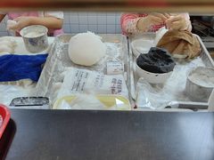 -朱新年·苏式汤团·面点(北寺塔店)