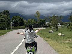 -洱海月湿地公园