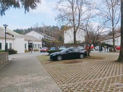 -四明山国家森林公园