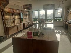 -视野联行眼镜(西站中天健广场店)
