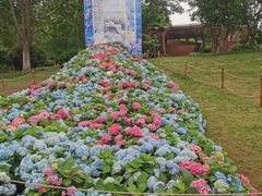 -武汉园博园(武汉自然博物馆)