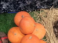 -老阿爸江浙土菜(奥体中心店)