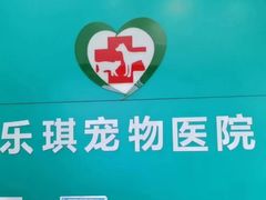 -乐琪宠物医院·犬猫专科·骨外科·急重症
