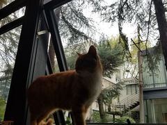 -禅蕴素食生活馆