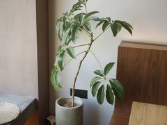 -溯洄咖啡VORTEX COFFEE