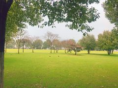 -橘洲1910花园江景西餐厅