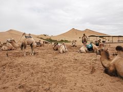 -亿利库布其七星湖沙漠生态旅游区