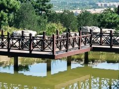 -北京西山国家森林公园