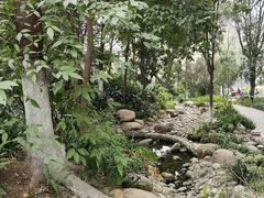 -成都市活水公园