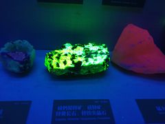 -湖南省地质博物馆