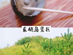 -东极岛景区